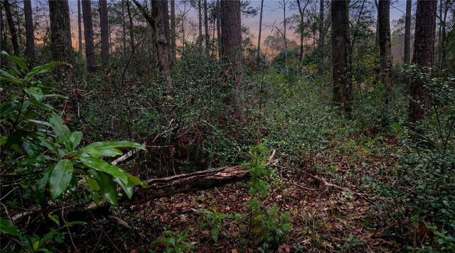 10733 Ruger Road, Willis, TX 77378