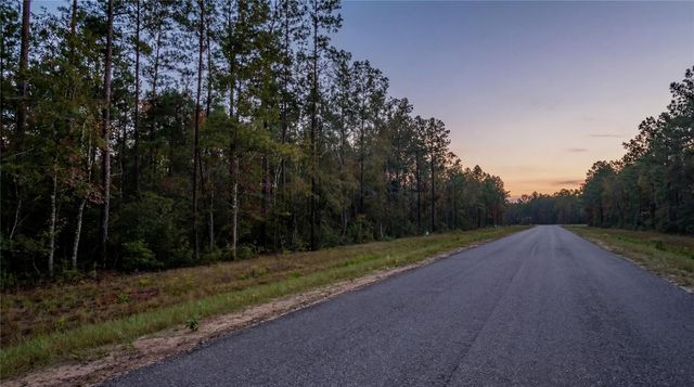 10733 Ruger Road, Willis, TX 77378