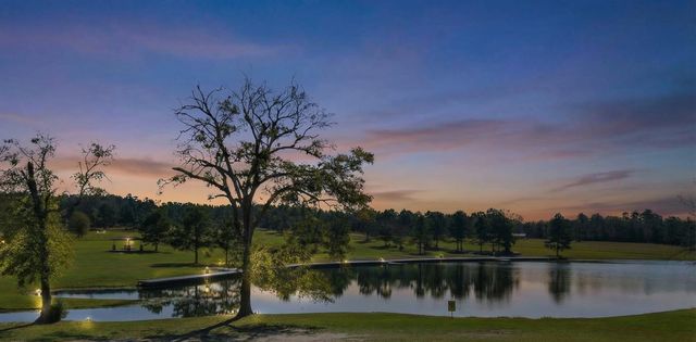 10733 Ruger Road, Willis, TX 77378