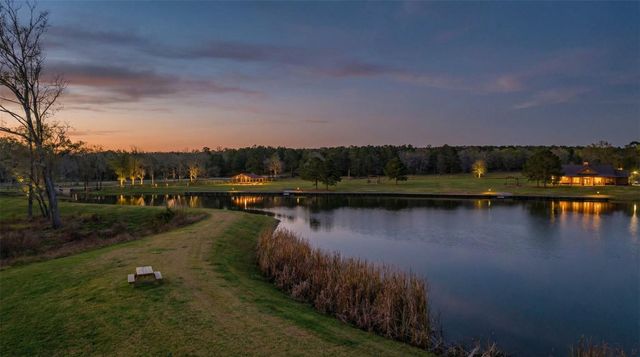 10733 Ruger Road, Willis, TX 77378