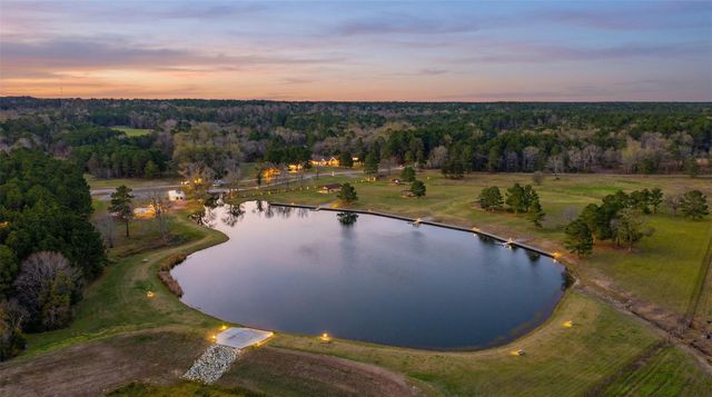 10733 Ruger Road, Willis, TX 77378