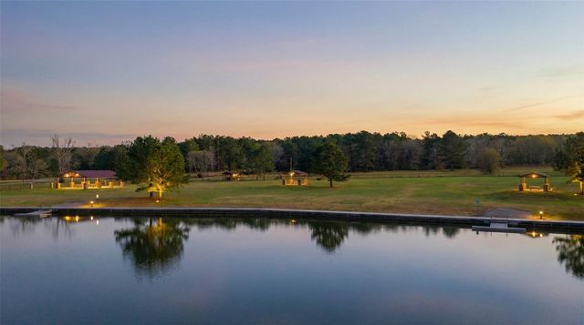 10733 Ruger Road, Willis, TX 77378