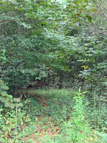 5518 Miller Bridge Road, Connelly Springs, NC 28612