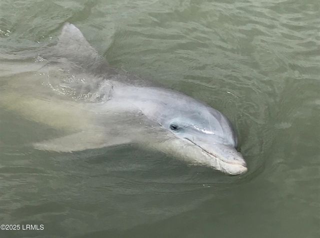 775 Distant Island Drive, Beaufort, SC 29907