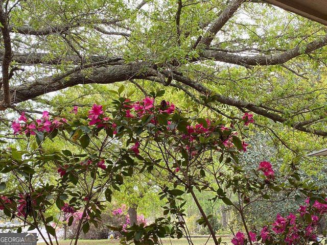 172 W Leo Trapnell Avenue, Lyons, GA 30436