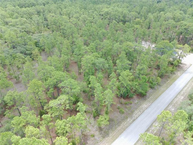 SW BUENA VISTA ROAD, Dunnellon, FL 34431