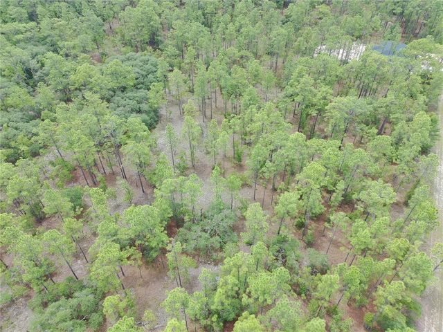 SW BUENA VISTA ROAD, Dunnellon, FL 34431