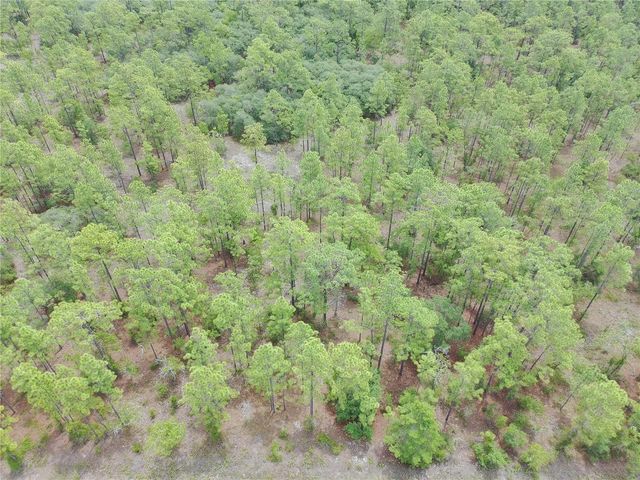 SW BUENA VISTA ROAD, Dunnellon, FL 34431
