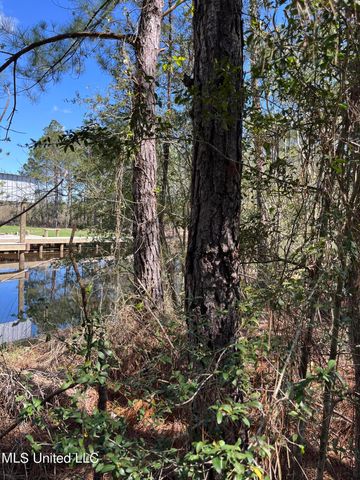 00000 Hwy 603, Bay Saint Louis, MS 39520