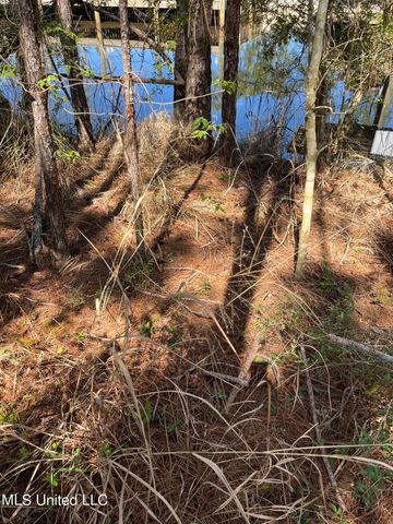 00000 Hwy 603, Bay Saint Louis, MS 39520