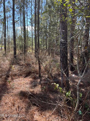 00000 Hwy 603, Bay Saint Louis, MS 39520