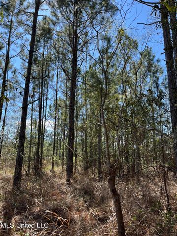 00000 Hwy 603, Bay Saint Louis, MS 39520