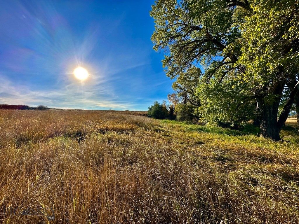 TBD Centennial Road, Columbus, MT 59019 photo 12