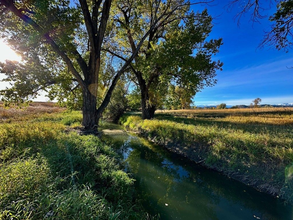 TBD Centennial Road, Columbus, MT 59019 photo 4