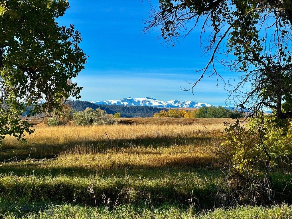 TBD Centennial Road, Columbus, MT 59019 photo 5