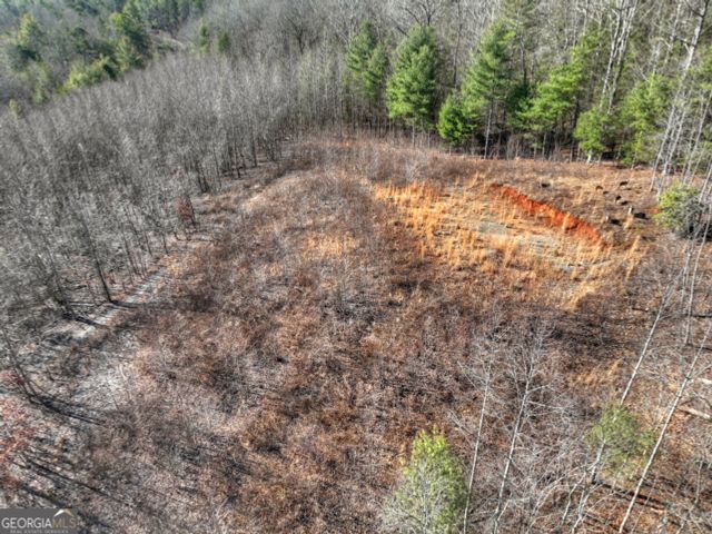 LT 131 & 132 Pack Creek Road, Blue Ridge, GA 30513