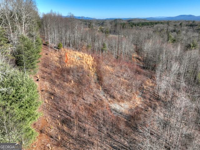 LT 131 & 132 Pack Creek Road, Blue Ridge, GA 30513
