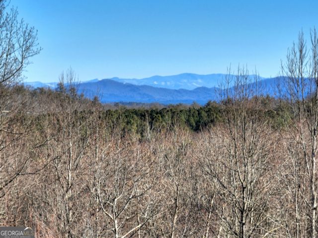 LT 131 & 132 Pack Creek Road, Blue Ridge, GA 30513