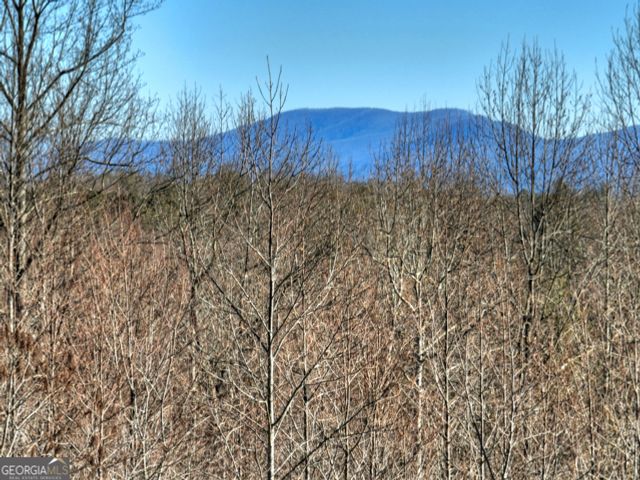 LT 131 & 132 Pack Creek Road, Blue Ridge, GA 30513