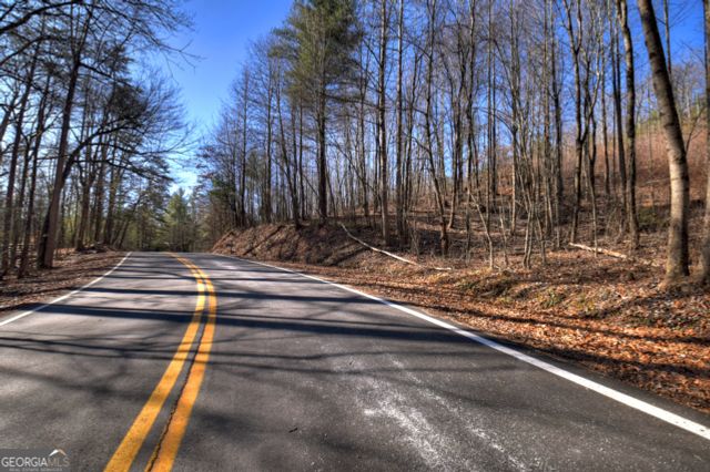 LT 131 & 132 Pack Creek Road, Blue Ridge, GA 30513