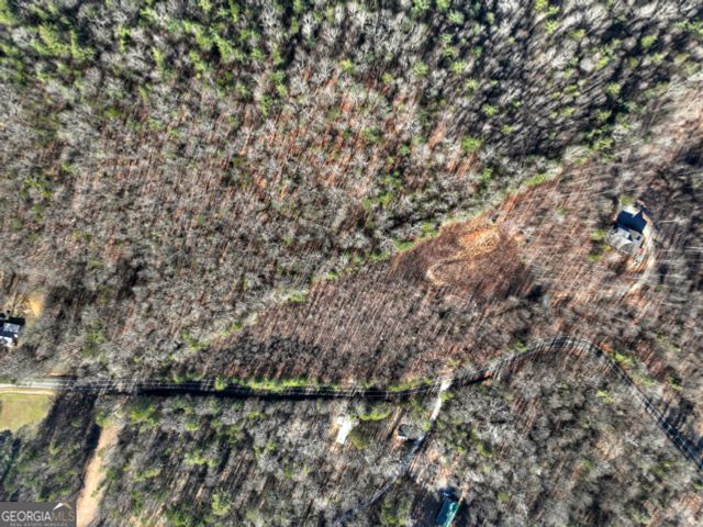 LT 131 & 132 Pack Creek Road, Blue Ridge, GA 30513