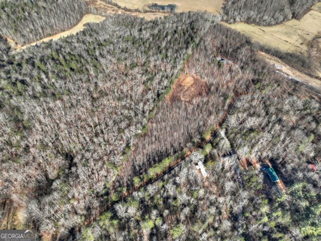 LT 131 & 132 Pack Creek Road, Blue Ridge, GA 30513