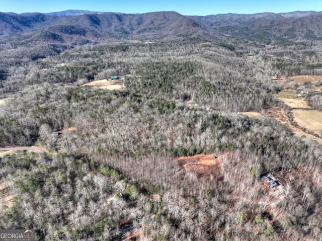 LT 131 & 132 Pack Creek Road, Blue Ridge, GA 30513