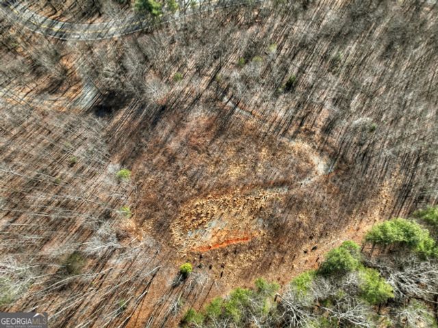 LT 131 & 132 Pack Creek Road, Blue Ridge, GA 30513