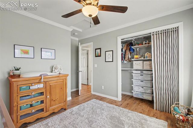 7885 Lindsey Drive, Colorado Springs, CO 80920