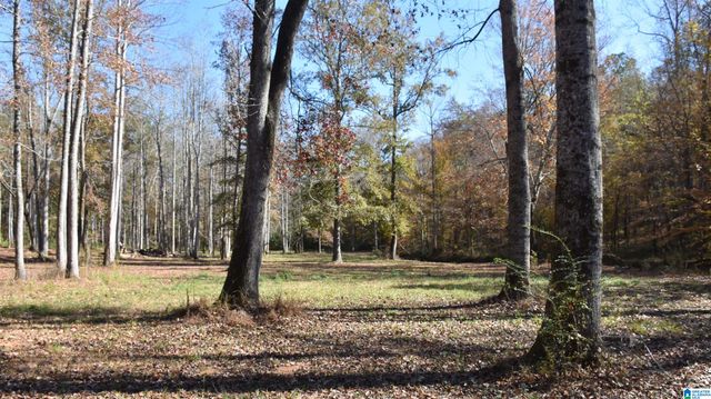 0 CREEK RUN, Sylacauga, AL 35150