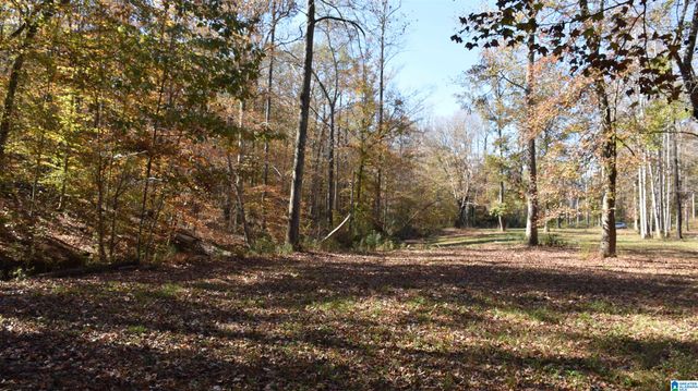 0 CREEK RUN, Sylacauga, AL 35150