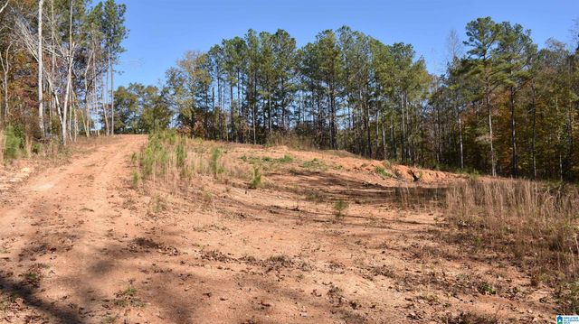 0 CREEK RUN, Sylacauga, AL 35150