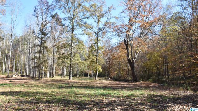 0 CREEK RUN, Sylacauga, AL 35150