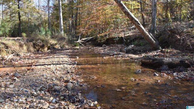 0 CREEK RUN, Sylacauga, AL 35150