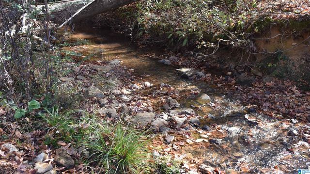 0 CREEK RUN, Sylacauga, AL 35150