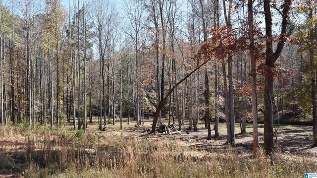 0 CREEK RUN, Sylacauga, AL 35150