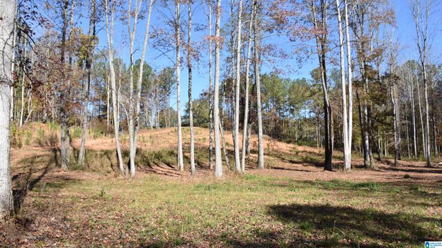 0 CREEK RUN, Sylacauga, AL 35150