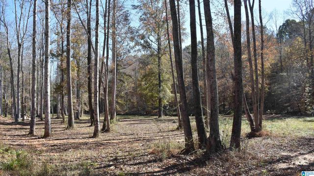 0 CREEK RUN, Sylacauga, AL 35150