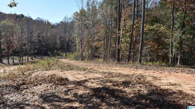 0 CREEK RUN, Sylacauga, AL 35150