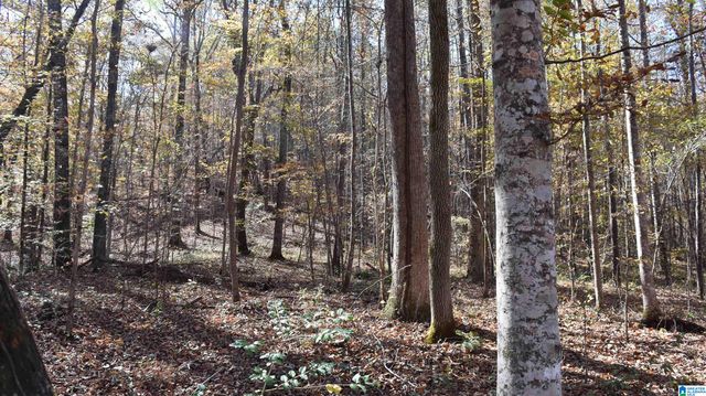 0 CREEK RUN, Sylacauga, AL 35150