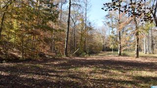 0 CREEK RUN, Sylacauga, AL 35150