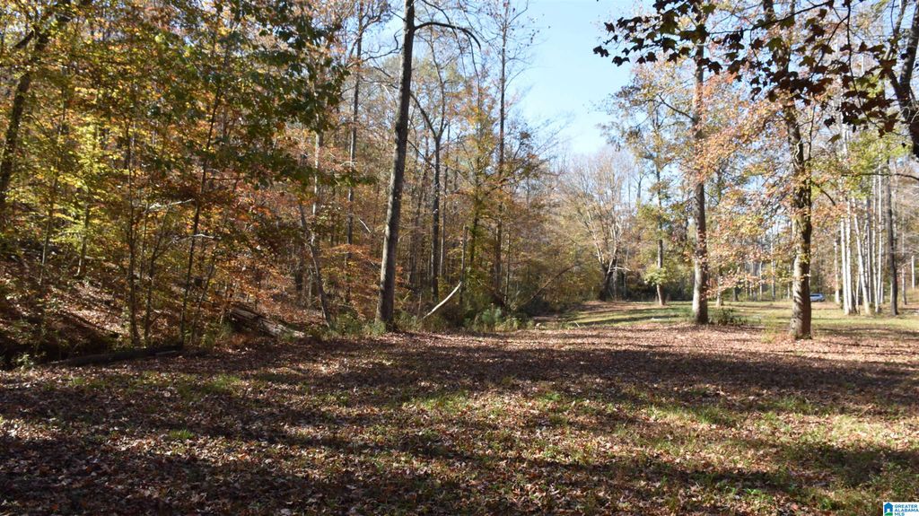 0 CREEK RUN, Sylacauga, AL 35150