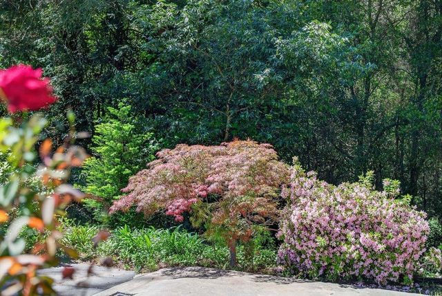 303 Sanborn Lane, Felton, CA 95018