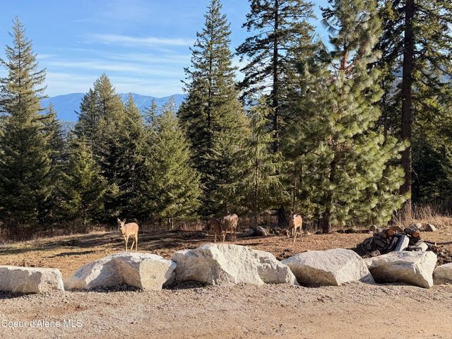 101 Spring View LN, Sagle, ID 83860