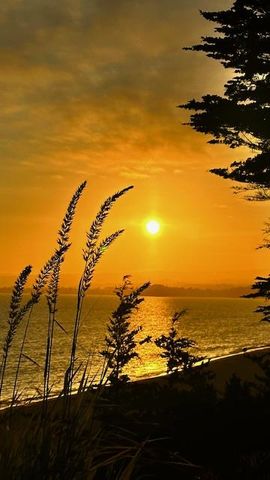 60 Seascape Resort Drive, Aptos, CA 95003