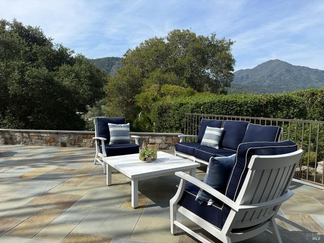 391 Elm Ave, Larkspur, CA 94939