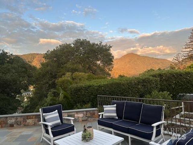 391 Elm Ave, Larkspur, CA 94939