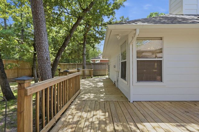 18 Mulberry Glen Place, The Woodlands, TX 77382