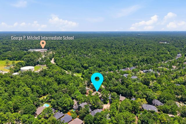18 Mulberry Glen Place, The Woodlands, TX 77382