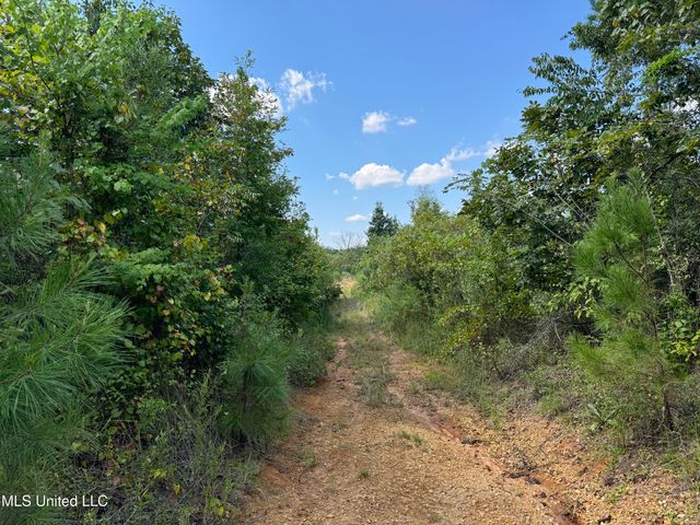 816a Denton Trail, Brookhaven, MS 39601